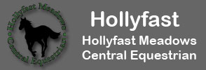 Hollyfast