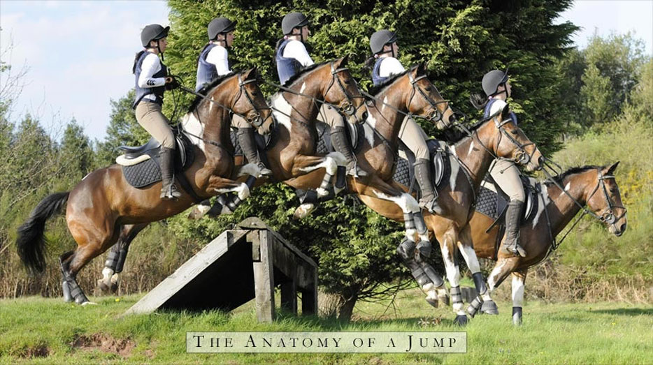 Jump Anatomy